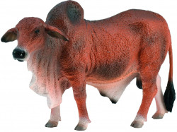 Фигурка Collecta Красный брахманский бык