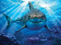 Стерео пазл Prime 3D Большая белая акула 10048
